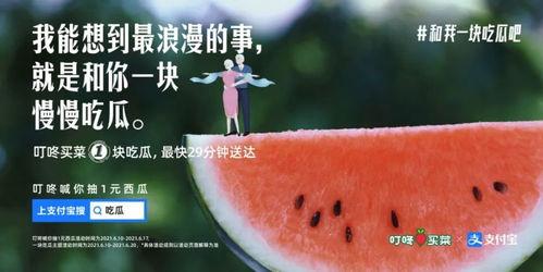 娱乐吃瓜简介文案,吃瓜群众必备的娱乐八卦速览